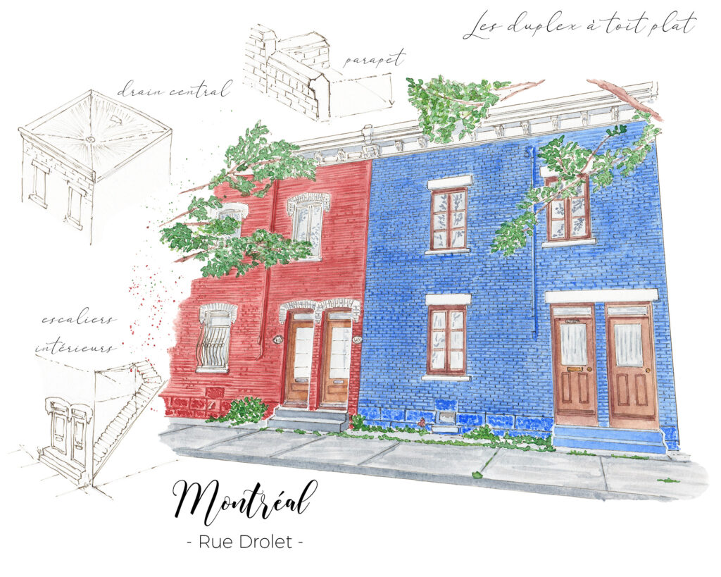 Les habitats types montréalais : Duplex à toit plat